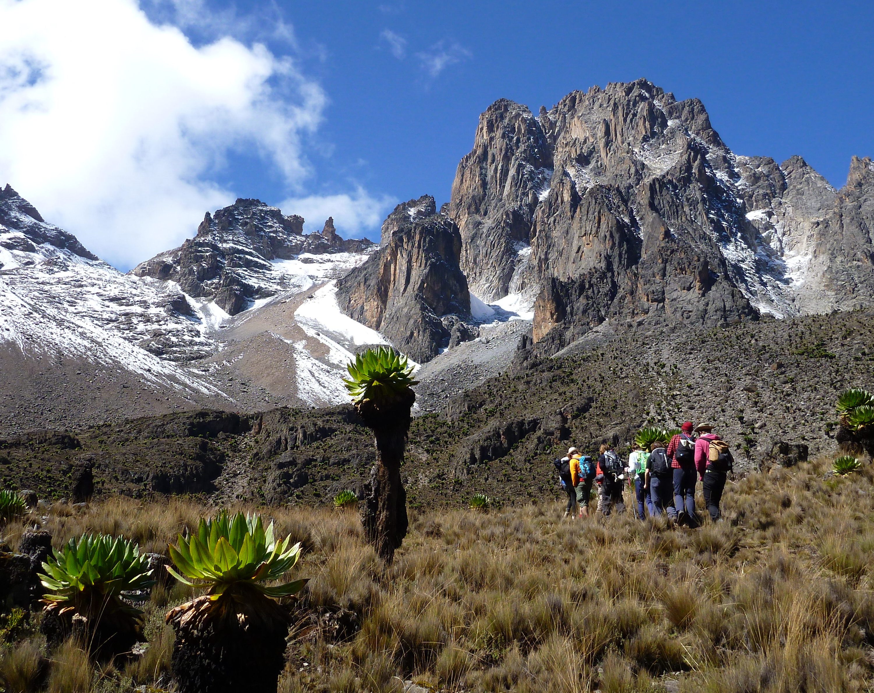 mt kenya trek