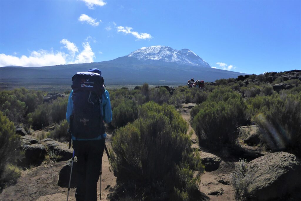 kilimanjaro trek