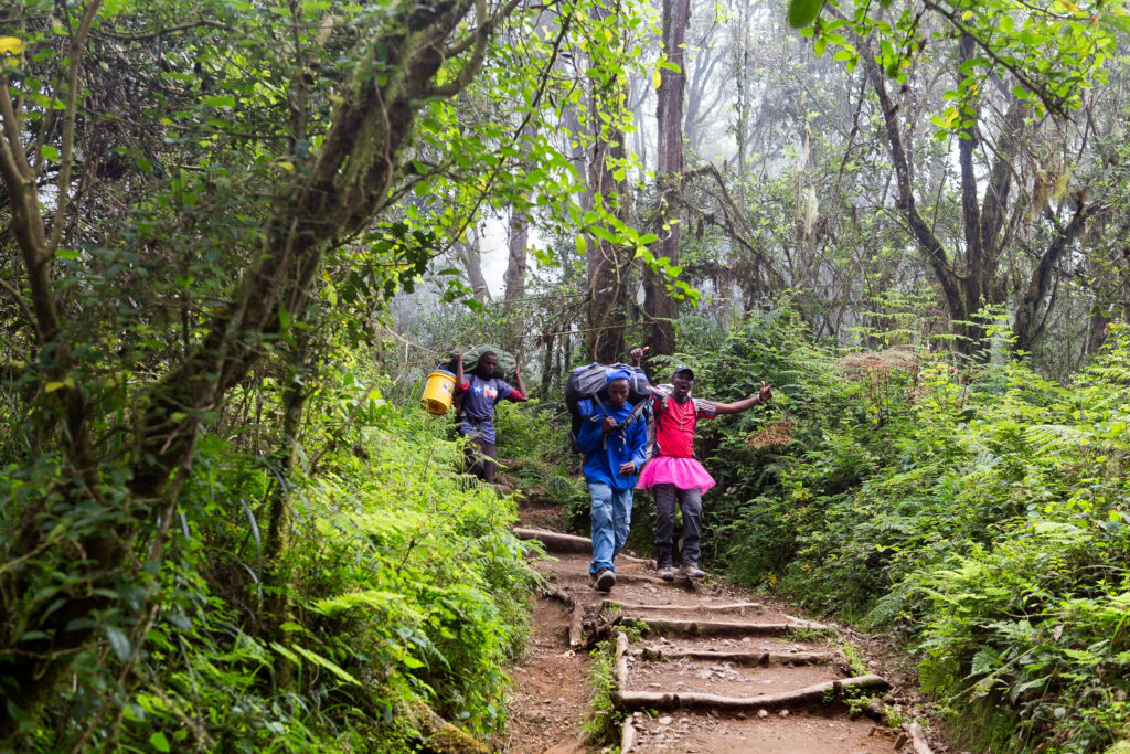 kilimanjaro team